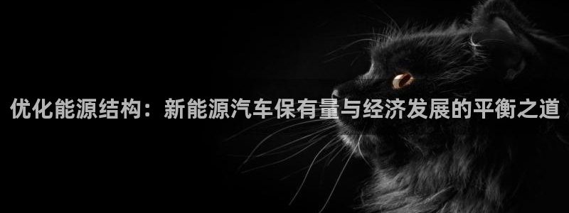 新宝gg黑平台：优化能源结构：新能源汽车