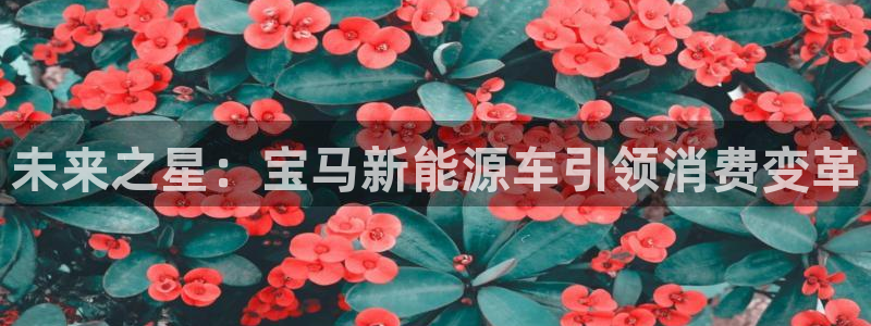新宝gg娱乐平台:未来之星:宝马新能源车引领消费变革