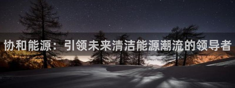 新宝gg开奖结果:协和能源:引领未来清洁能源潮流的领导者