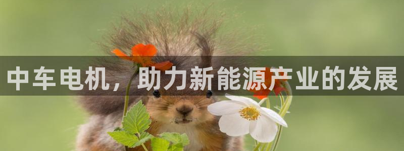 分分新宝gg:中车电机,助力新能源产业的发展