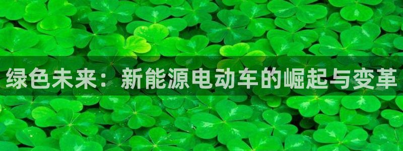 新宝时gg:绿色未来:新能源电动车的崛起与变革