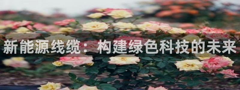 新宝gg 黑:新能源线缆:构建绿色科技的未来