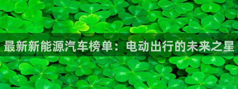 新宝GG柯78778:最新新能源汽车榜单:电动出行的未来之星
