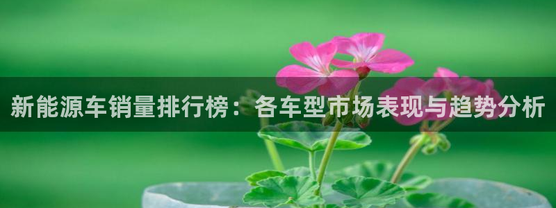 新宝gg登陆平台:新能源车销量排行榜:各车型市场表现与趋势分