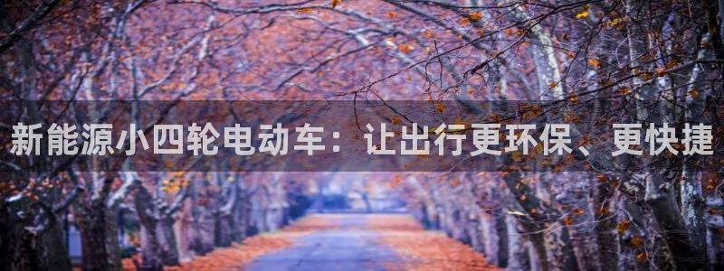 新宝gg109:新能源小四轮电动车:让出行更环保、更快捷