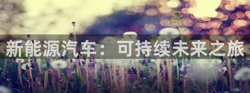 新宝gg 黑:新能源汽车:可持续未来之旅