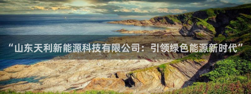 新宝gg 创造奇迹:“山东天利新能源科技有限公司:引领绿