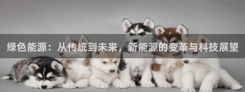 11新宝gg:绿色能源:从传统到未来,新能源的变革与科技展望