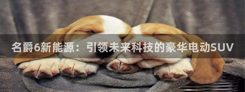 新宝gg娱乐登录地址:名爵6新能源:引领未来科技的豪华电动S