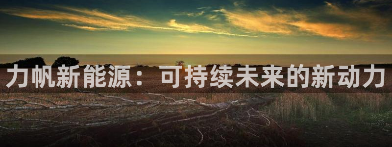 新宝gg平台连接