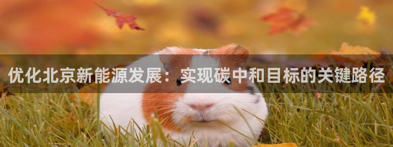 新宝GG官方域名：优化北京新能源发展：实