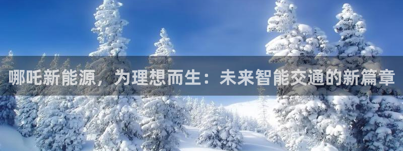 新宝gg龙虎：哪吒新能源，为理想而生：未