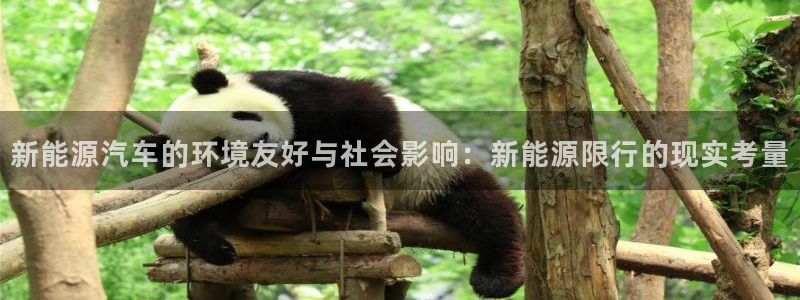 新宝gg娱乐首页