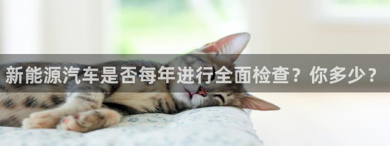 新宝gg注册q26880