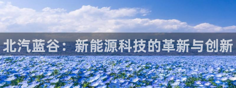 新宝六与新宝gg