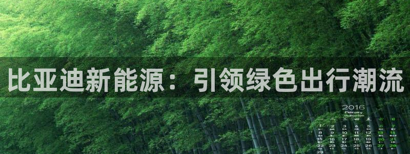 新宝gg漏洞:比亚迪新能源:引领绿色出行潮流