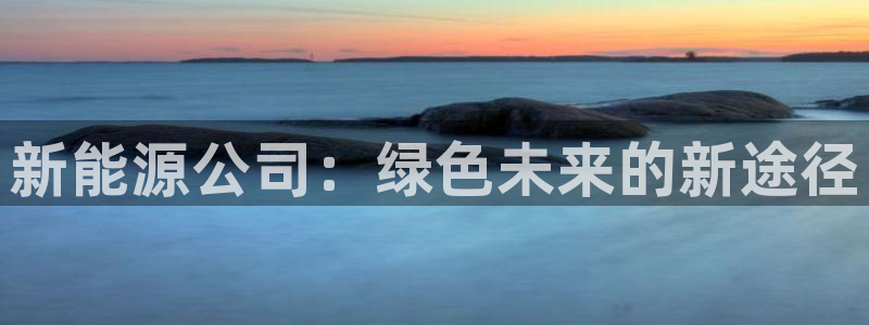 新宝gg6:新能源公司:绿色未来的新途径