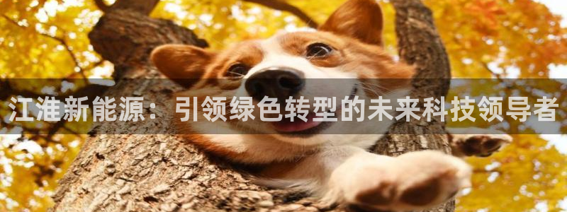 新宝3和新宝gg:江淮新能源:引领绿色转型的未来科技领导者