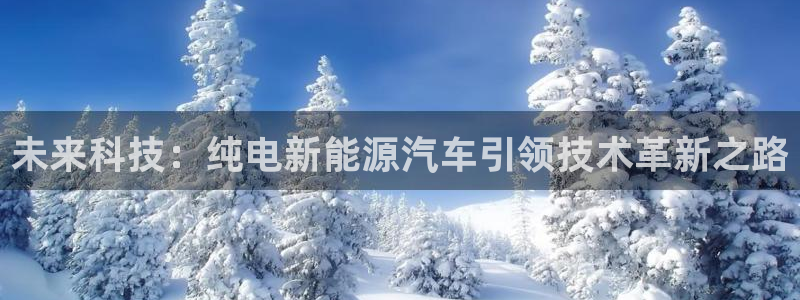 新宝gg主管都是谁:未来科技:纯电新能源汽车引领技术革新之路