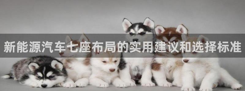 新宝gg博客：新能源汽车七座布局的实用建