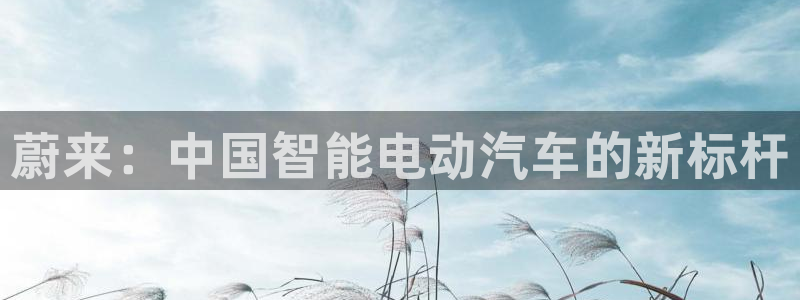 新宝gg注册 776317：蔚来：中国智