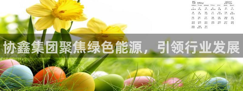 新宝gg创造奇迹：协鑫集团聚焦绿色能源，