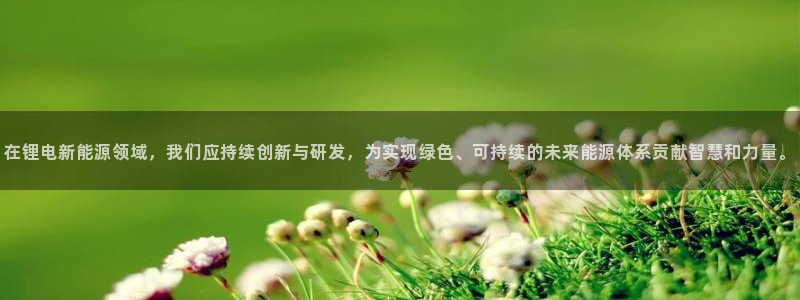 新宝gg线长：在锂电新能源领域，我们应持