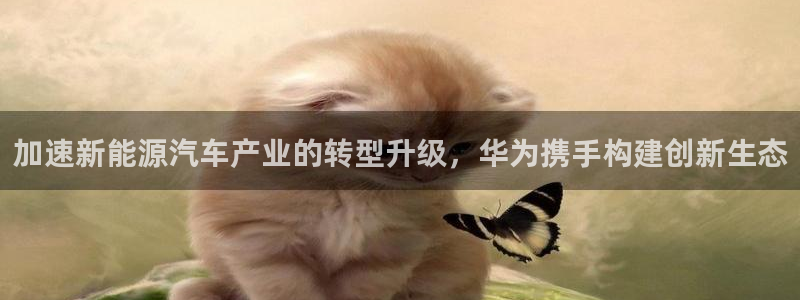 新宝g新宝gg:加速新能源汽车产业的转型升级,华为携手构建创