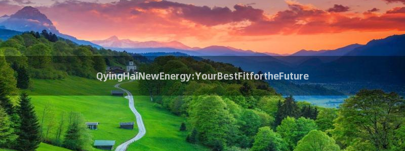 新宝gg注册网站:QyingHaiNewEnergy:You