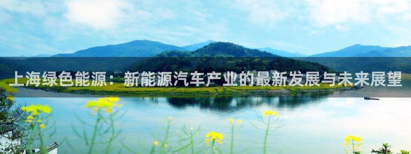 新宝gg返点1956是多少:上海绿色能源:新能源汽车产业的最