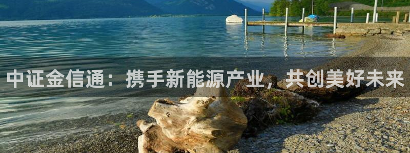 新宝gg直属:中证金信通:携手新能源产业,共创美好未来