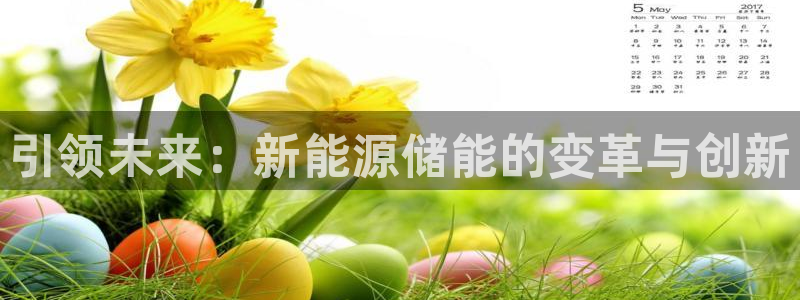 新宝gg违法:引领未来:新能源储能的变革与创新