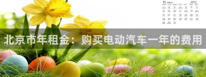 新宝gg公司:北京市年租金:购买电动汽车一年的费用