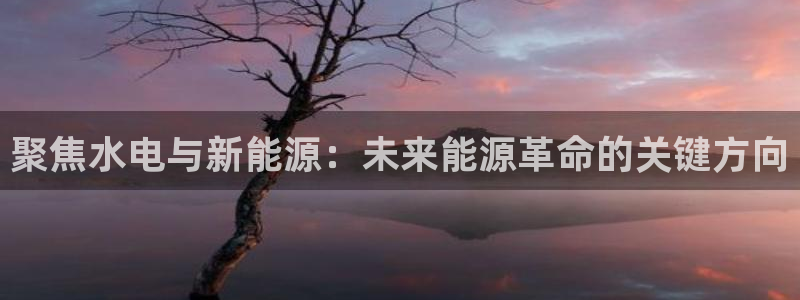 新宝gg 注册:聚焦水电与新能源:未来能源革命的关键方向
