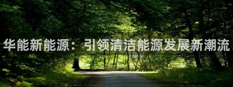 下载新宝gg怎么下载:华能新能源:引领清洁能源发展新潮流