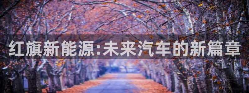 新宝gg 登录：红旗新能源:未来汽车的新