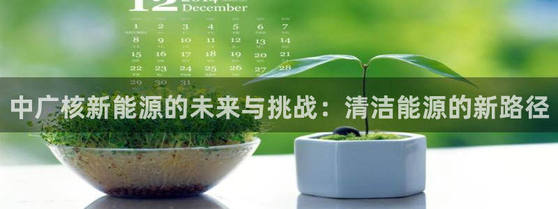 新宝GG手机客户端