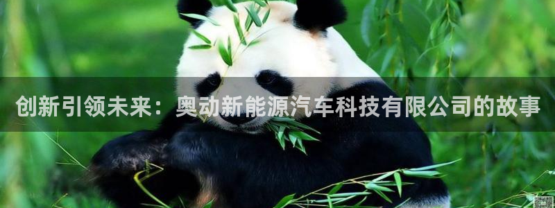 新宝gg代理条件
