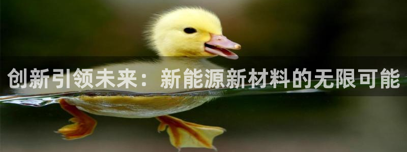 新宝gg登陆新