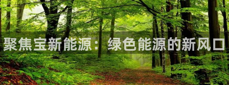 新宝 gg 登录注册
