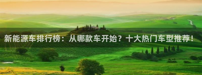 新宝gg佣金