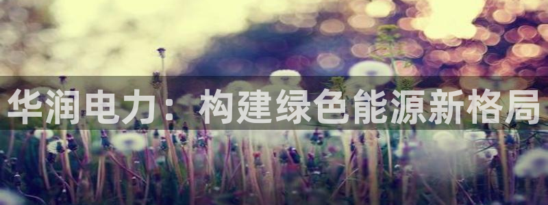 新宝gg娱乐