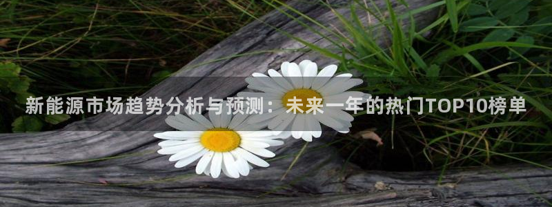 新宝gg返点模式