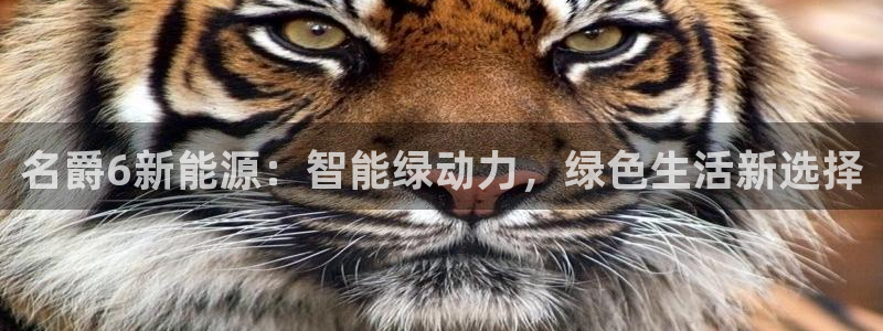 新宝gg娱乐登录地址