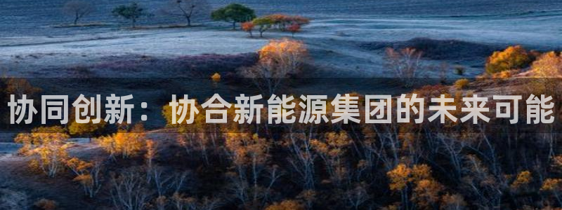 新宝平台gg