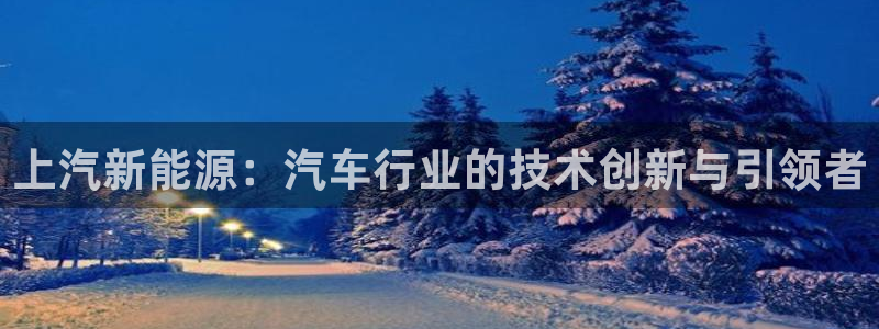 新宝gg开好