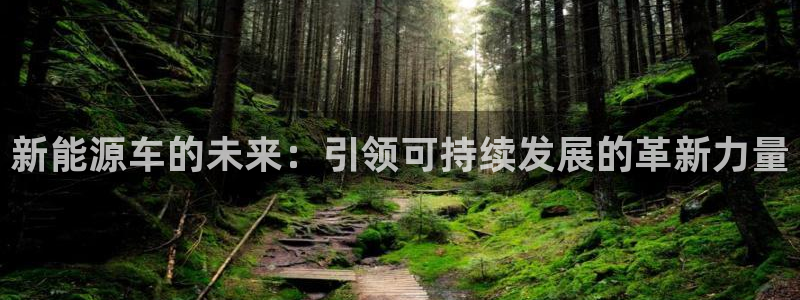 新宝gg平台下载安装