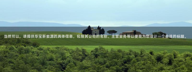 新宝gg总管