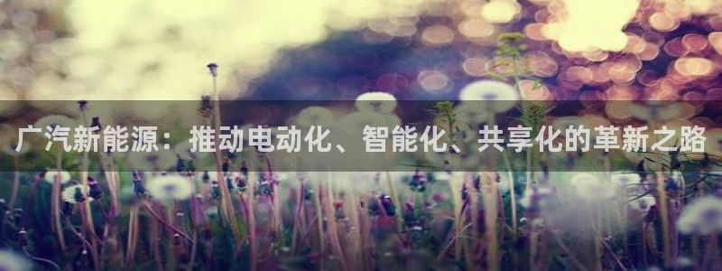 广东新宝电器gg