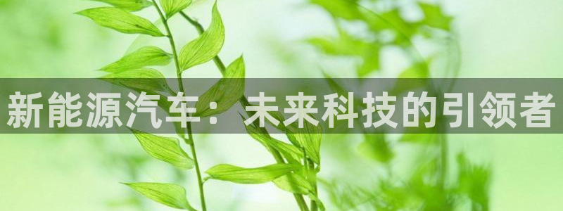 新宝gg画